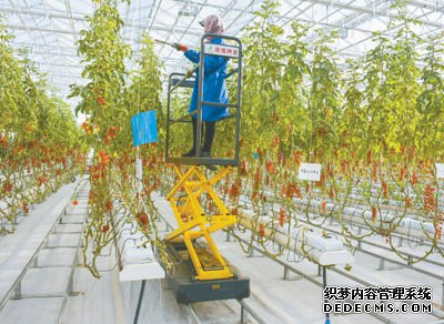 戈壁滩飘出果蔬香（田间追踪高质量·突破资源约束）