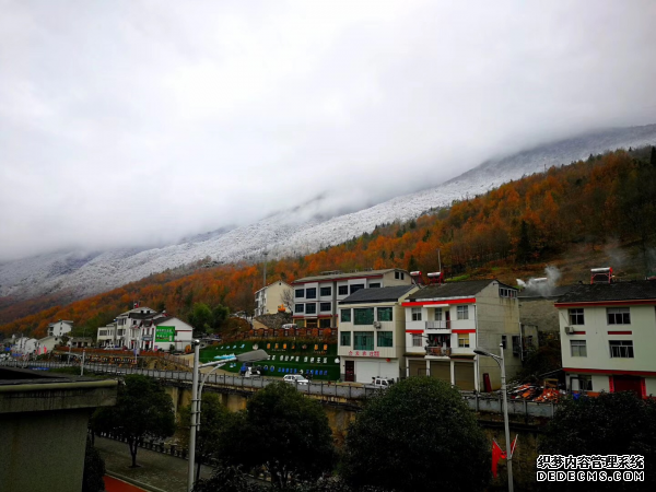 雪后的神农架，变成了一幅水墨画