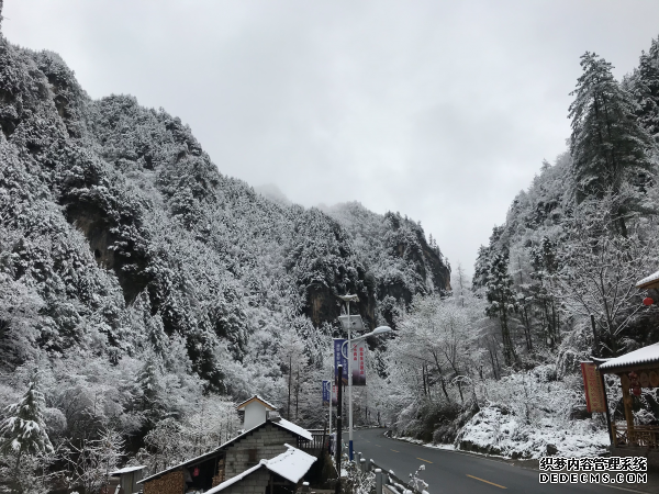 雪后的神农架，变成了一幅水墨画