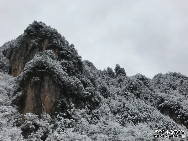 雪后的神农架，变成了一幅水墨画